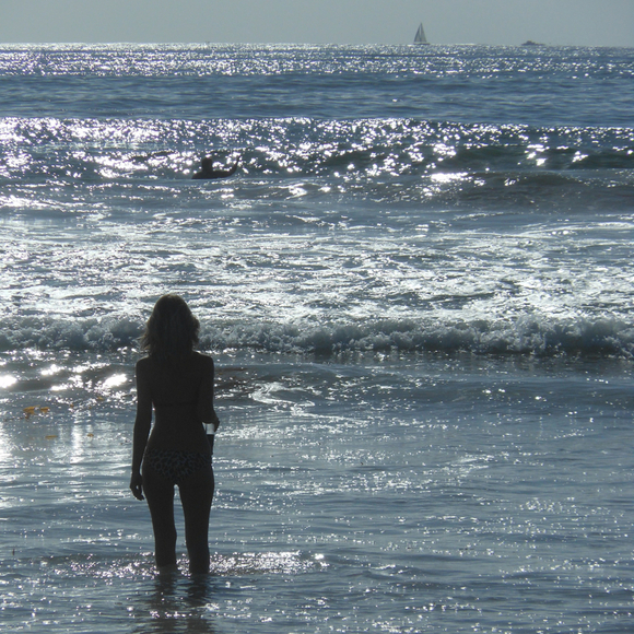 mslrn2009