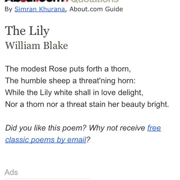 lilypad4711
