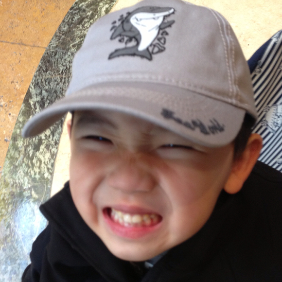 vicbd