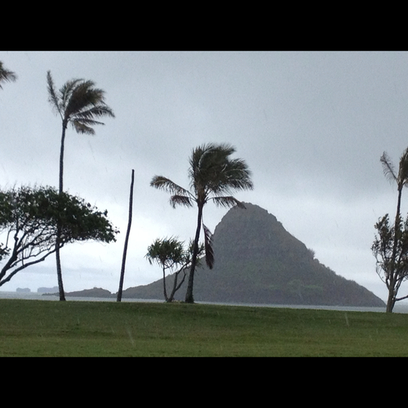 mauimama