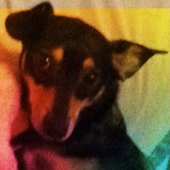 tobyleemomma