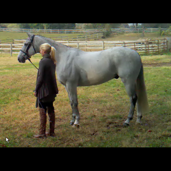 orrhillfarm
