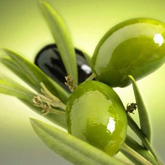 umferas