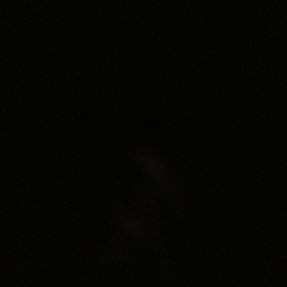 12355688