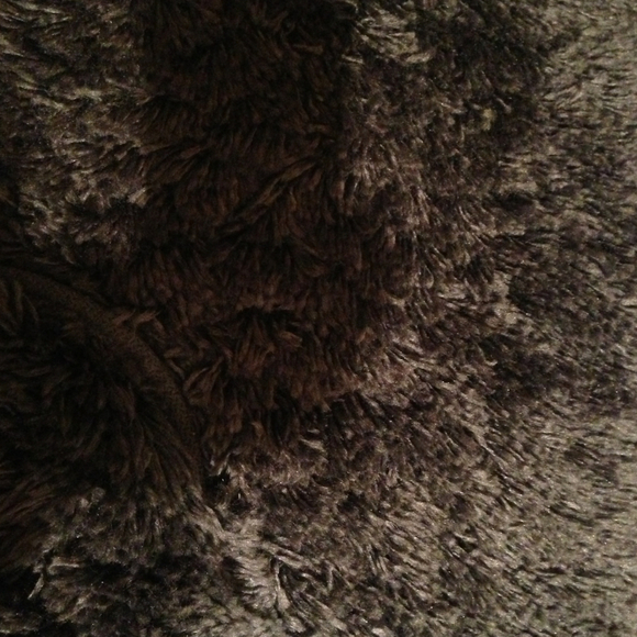 blossum978