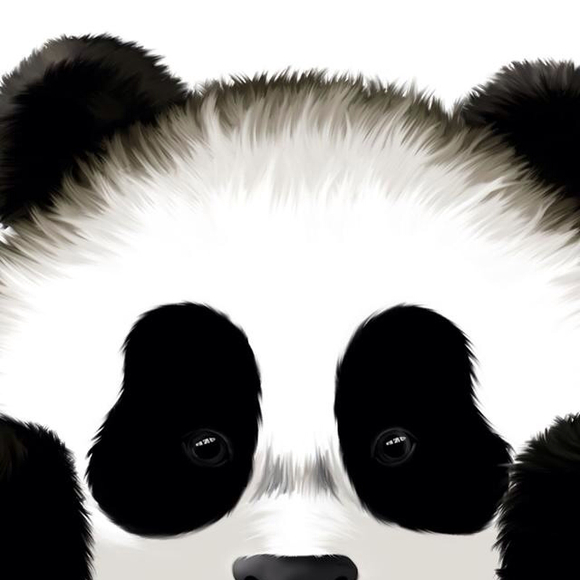sammytrinh