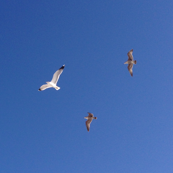 skylove34