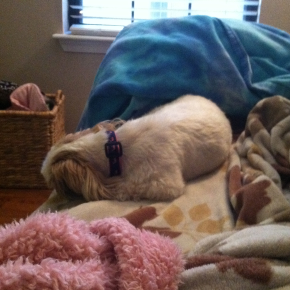 mollie10