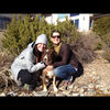 foxandbeaux