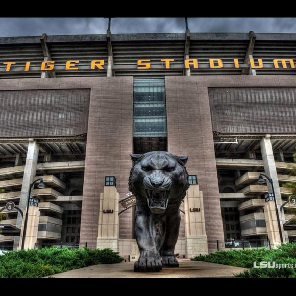 tigerfan13