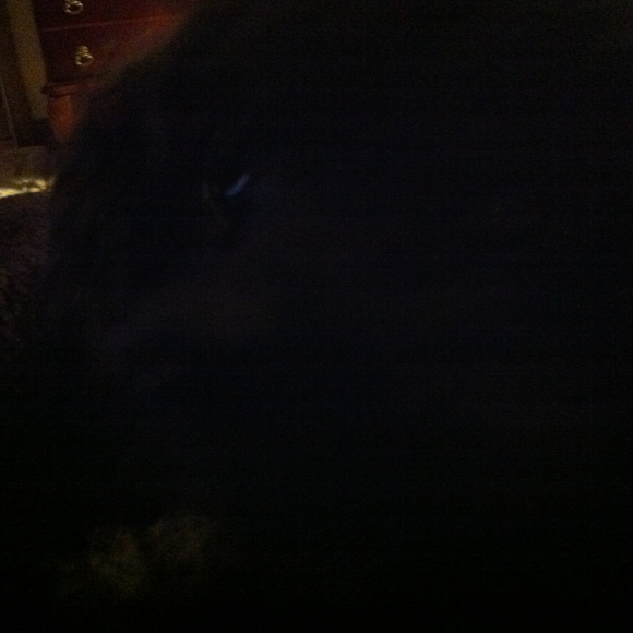 meldee