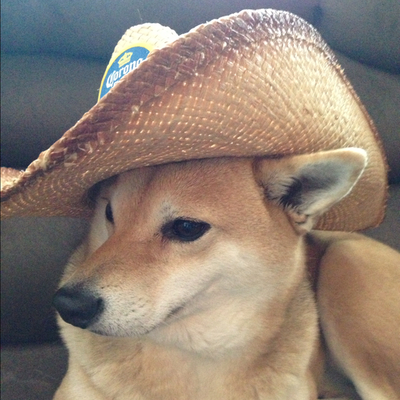 wolfezh