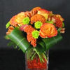 pnguyen11903