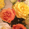 flores79