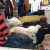 ashleycloset