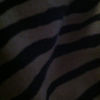ccesarone