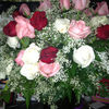 amanda63_2006
