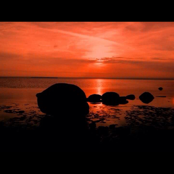 robinparker86