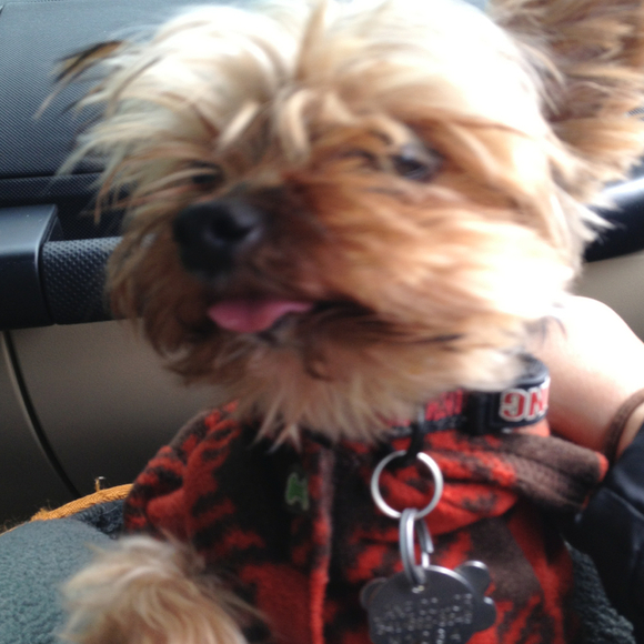 Poshmark profile picture for @terrible