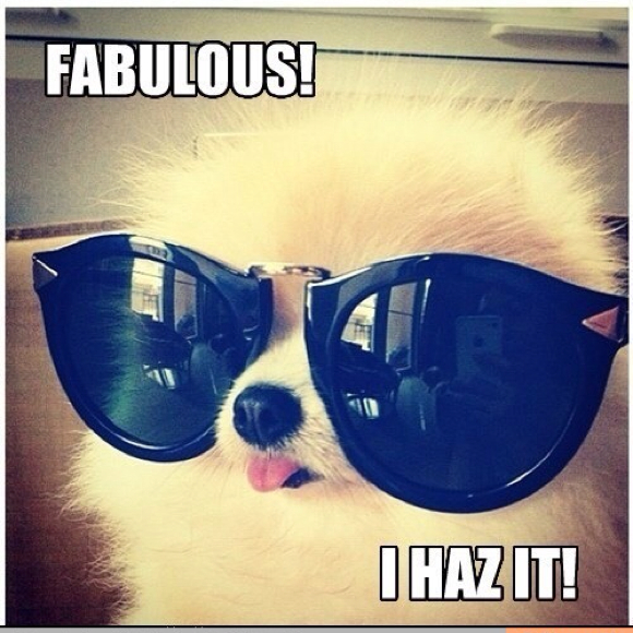 hammy123