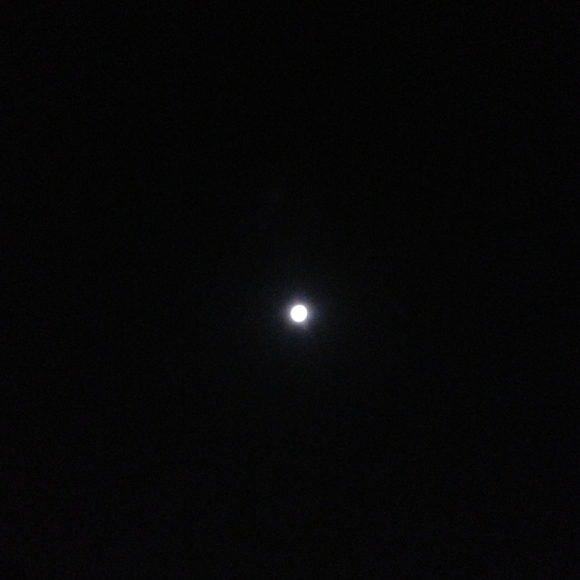 fransisca