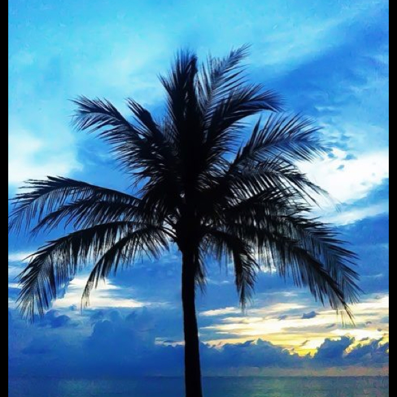 Poshmark profile picture for @travel