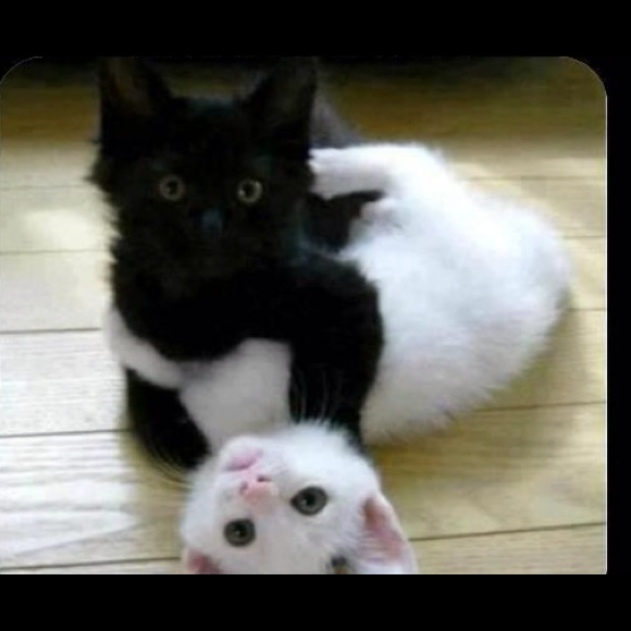 moniik