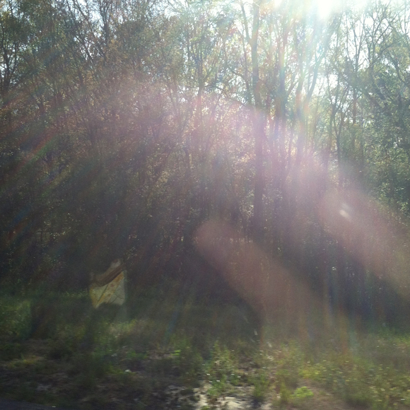 fieldsla