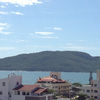 cliliesp