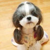 mytrends7476