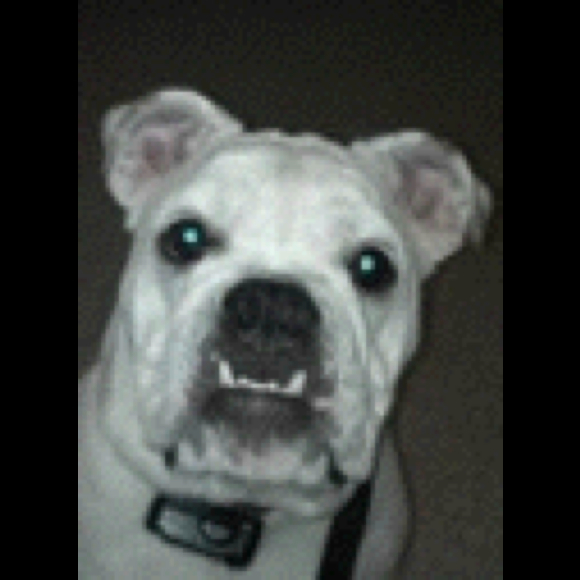 pabitt
