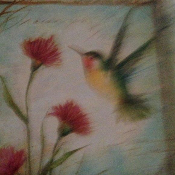 donnajohnson01