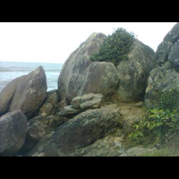 lanhnguyen89