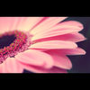 arely89