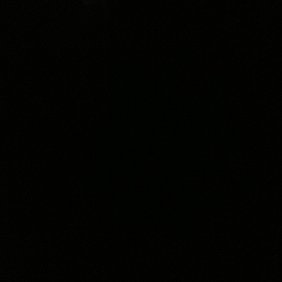 nygoulindalinfa