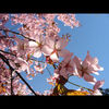 hirokes