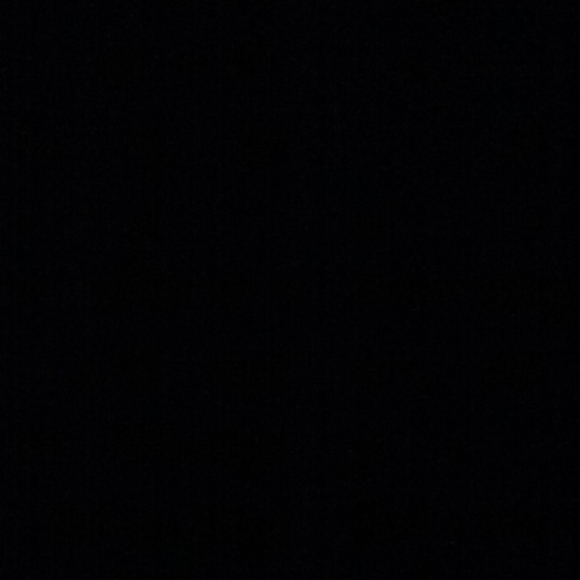 devonshapiro