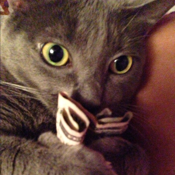 crumela