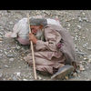 amera5