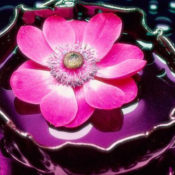 liliroxi