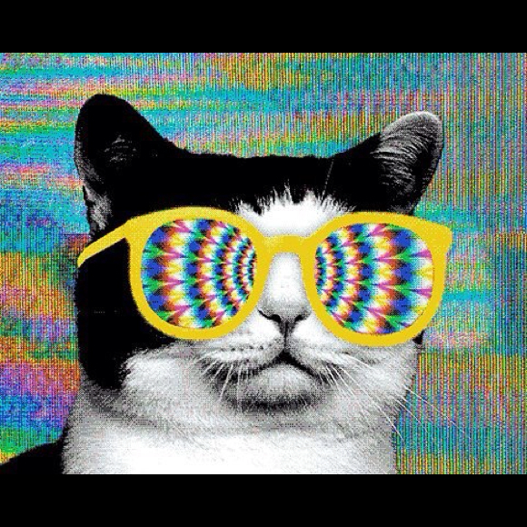 Poshmark profile picture for @donuts