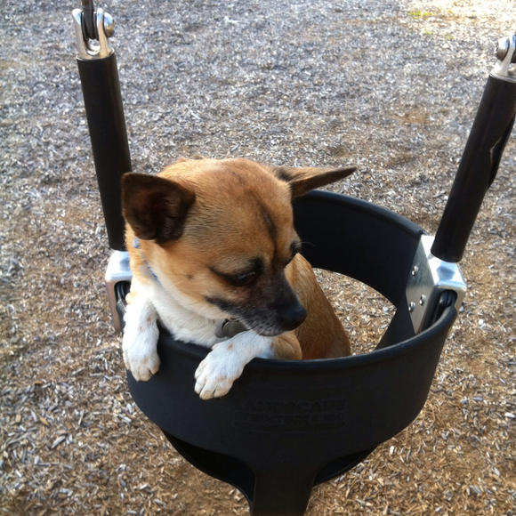 shacklefree