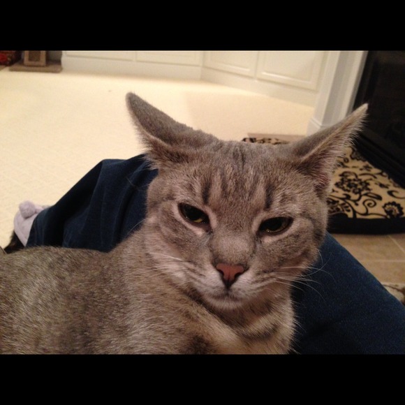 bewilla