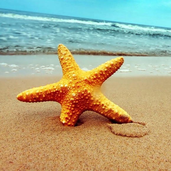 beachy1219