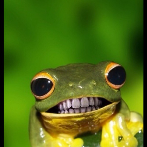 ggamato