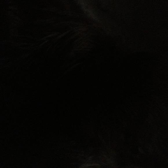 harristandk