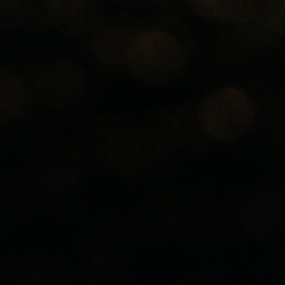 lisaannlamp