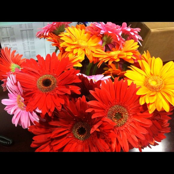 flowerrpowerr