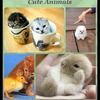 animalsluver