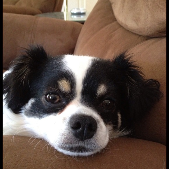 katgray11
